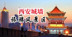 色搞b在线视频中国陕西-西安城墙旅游风景区