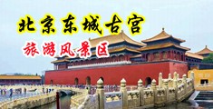 日批一二区中国北京-东城古宫旅游风景区